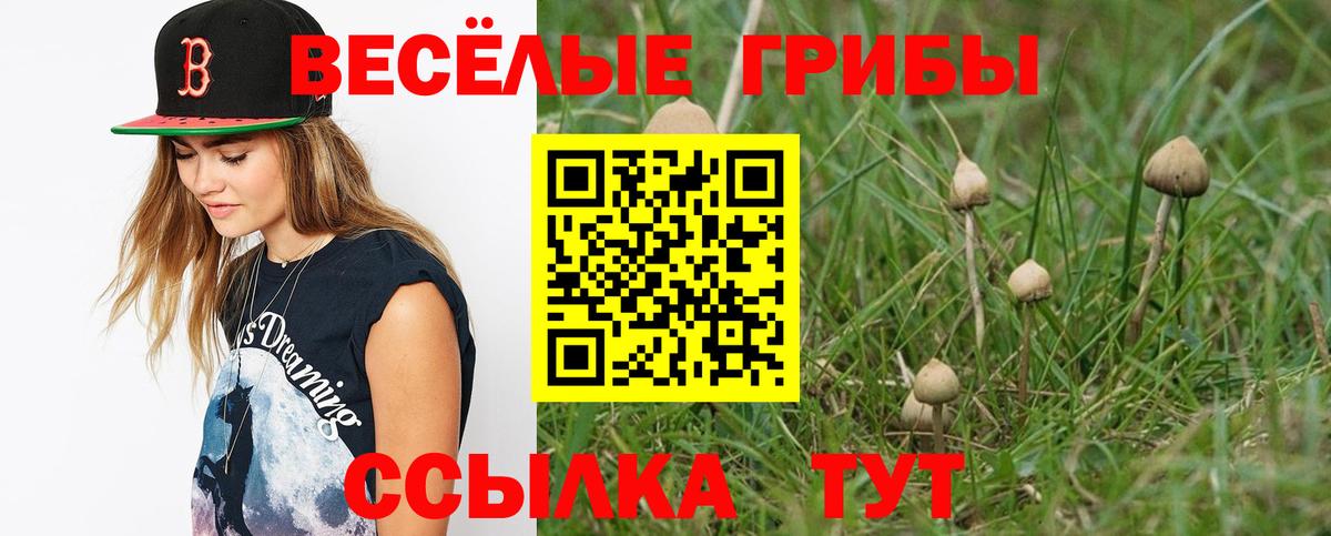 Барабинск  Галлюциногенные грибы Cubensis  Вход с VPN 